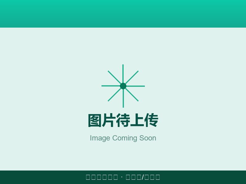 2026全球凉味剂市场规模增长趋势